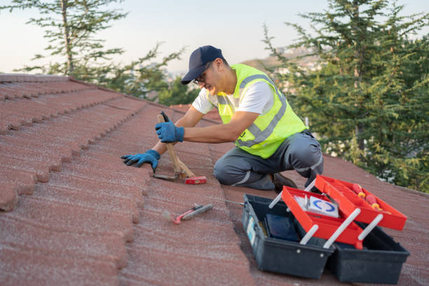 Best Flat Roof Repair Services  in Schuyler, NE